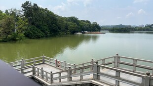 湖畔木质栈道风景