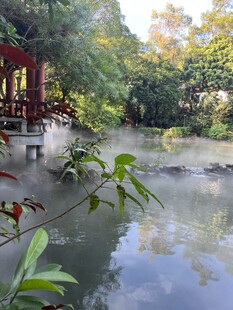 中式园林水景 绿植环绕