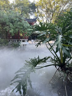 园林雾气缭绕绿植景观