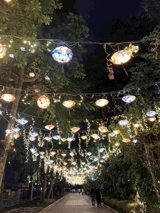 夜间梦幻灯光装饰小路