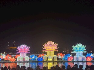 绚丽多彩的夜间花卉造型灯