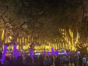 梦幻灯光秀现场