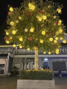 夜晚发光装饰树