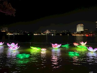夜湖中的多彩发光莲花灯