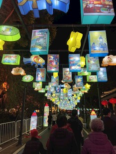 热闹灯会现场人群与彩灯