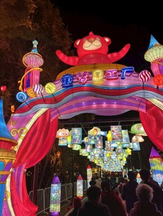 绚丽多彩的节日彩灯拱门