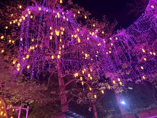 梦幻紫色灯光装饰树