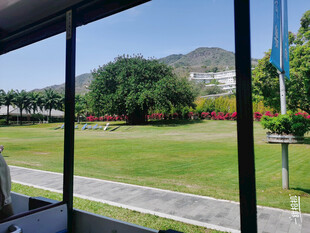 车窗外的绿意风景