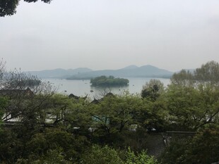 湖畔绿树环绕的湖景风光