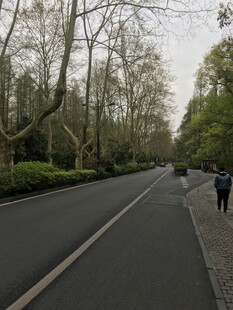 林荫大道上的漫步行人