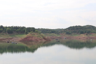 宁静湖畔的自然美景