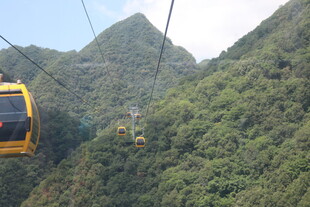 山间缆车穿梭于翠绿山林