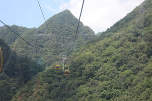 山间缆车穿梭于翠绿山林