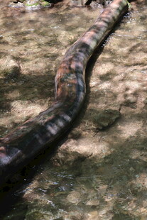 地面上的弯曲黑色管道