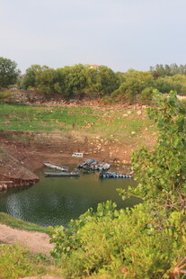 野外水塘边的绿色景致