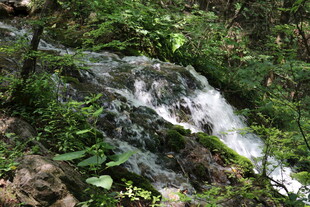 山间潺潺小瀑布