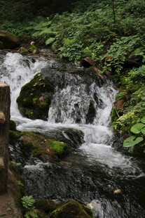 山间潺潺小瀑布