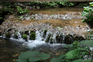 山间溪流小瀑布景观