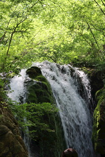 山林间的清新瀑布景观