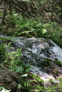 山林间的潺潺溪流