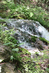 山间溪流瀑布绿植景观