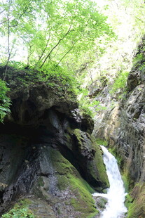 山间瀑布下的绿意景致