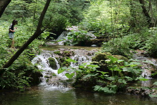 山林间的潺潺溪流