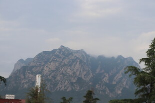 巍峨山峰与葱郁树木景观
