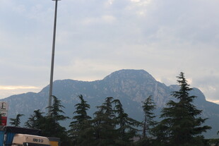 远山近树的自然景致