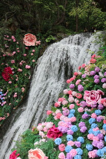 繁花簇拥的梦幻瀑布