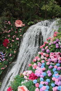 瀑布旁绚烂多彩花卉景观
