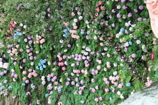 多彩花卉绿植景观