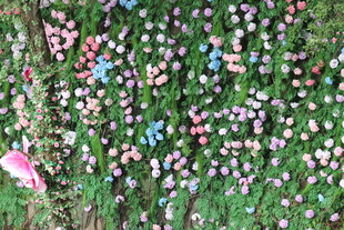 多彩蝴蝶飞舞于花丛间