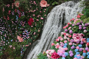 繁花簇拥的瀑布景观