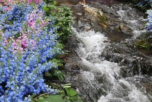 溪边繁花伴流水