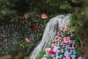重渡沟 花海瀑布 