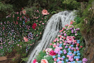 繁花簇拥的梦幻瀑布景观