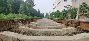 老旧铁轨旁的绿植景观