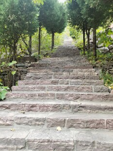 林间石阶 