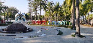 公园中的喷泉与绿植景观