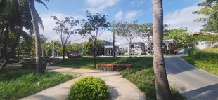 海滨公园绿意盎然景致