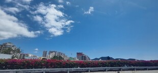 蓝天之下的多彩建筑