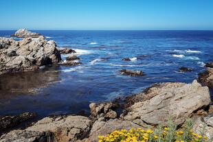 加利福利亚罗伯斯角海岸景观