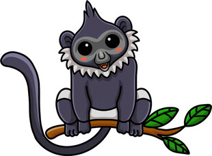 可爱狐猴坐枝头