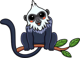 可爱猴子坐枝头