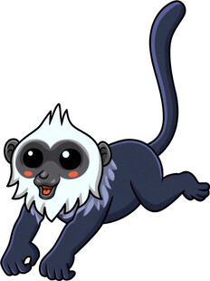 跳跃的可爱狐猴