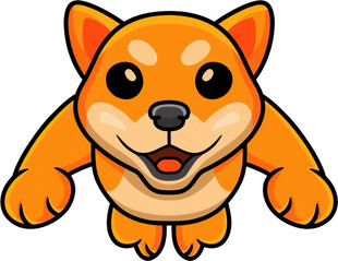 跳跃的卡通柴犬