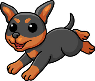 奔跑的可爱小狗狗