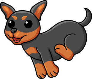 跳跃的可爱小狗