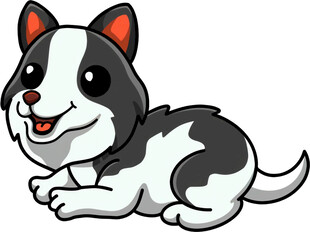 可爱趴着的黑白小狗